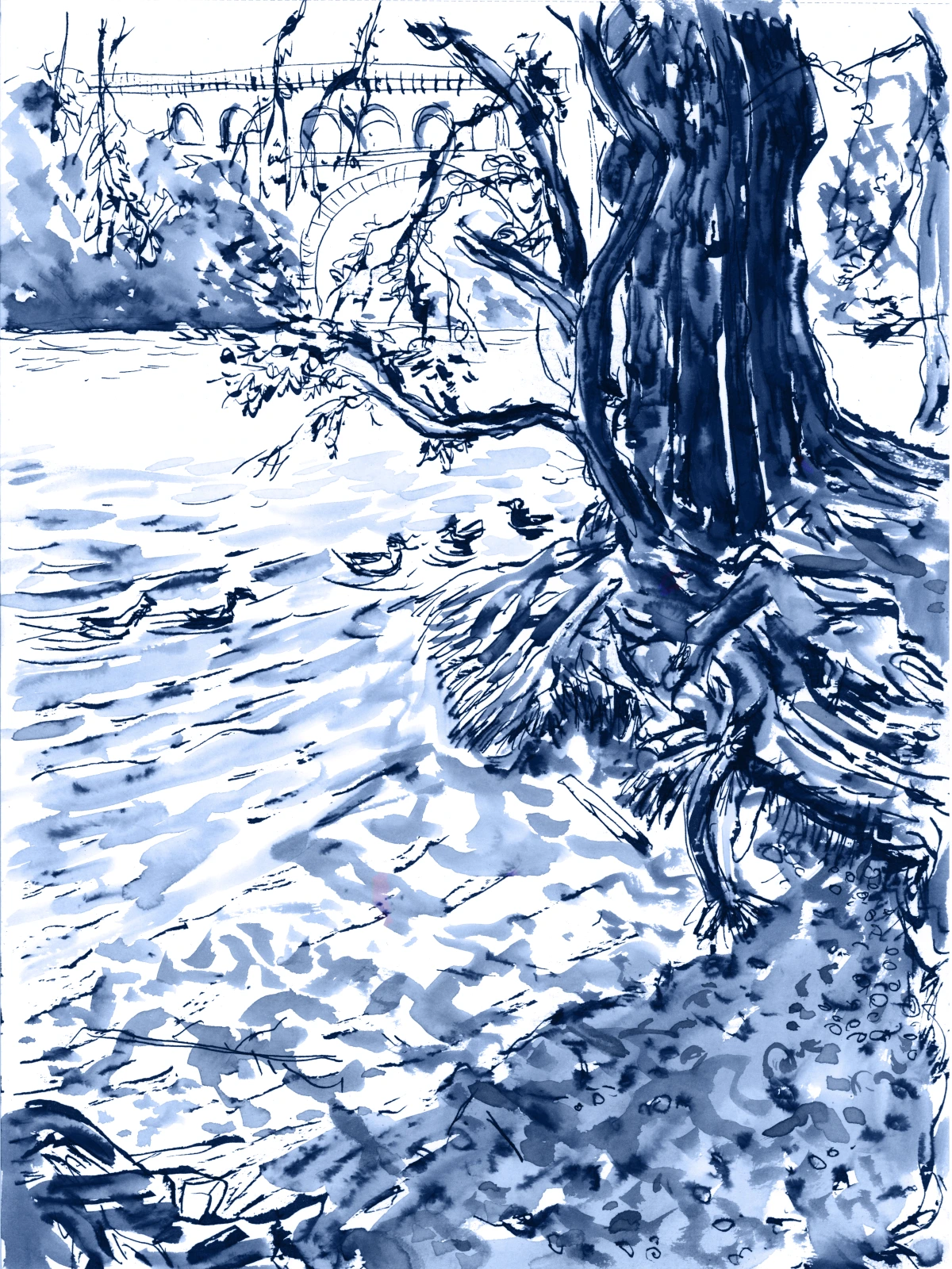 Rhône Sauvage blue-ink landscape study.