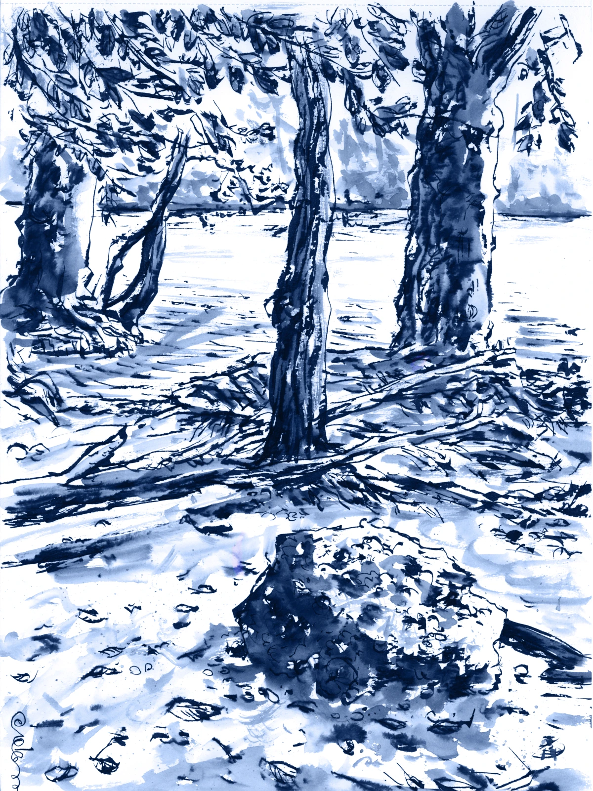 Blue-ink Rhône Sauvage drawing of the Saint-Jean riverbanks.