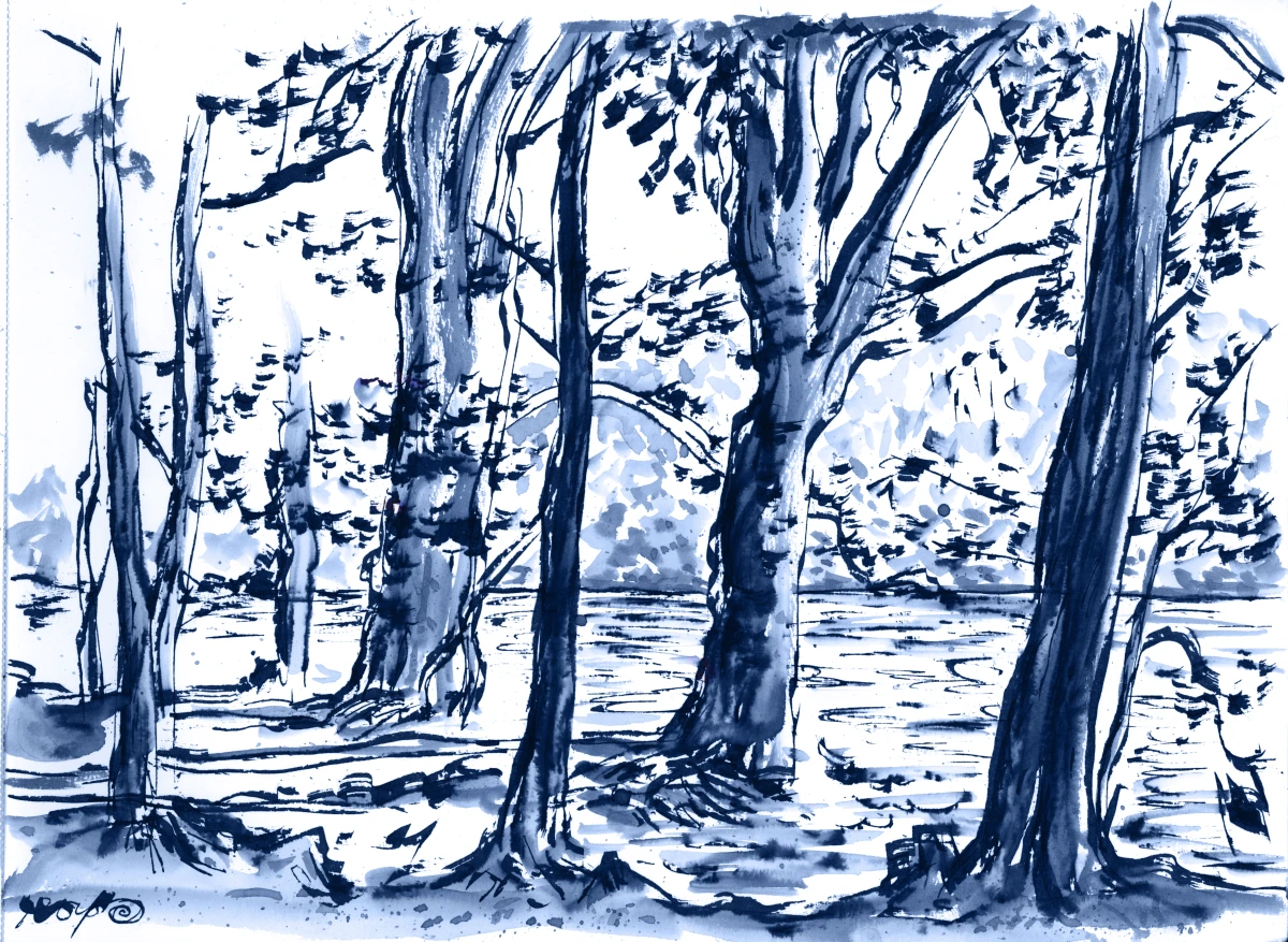 Rhône Sauvage blue-ink drawing by Mauro Carraro, inspired by the riverbanks at Saint-Jean, Geneva.